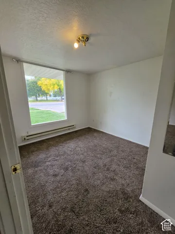Neutral-toned room featuring textured wall finishes, carpeted flooring, a large single-pane window, and a ceiling-mounted light fixture