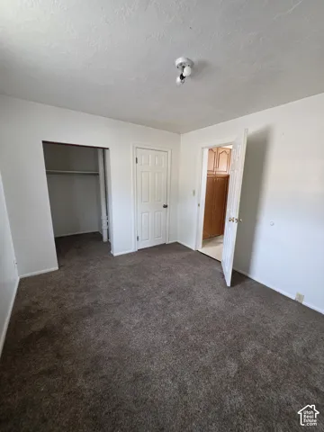 Neutral interior room featuring carpeted flooring, two six-panel doors, and an open-concept walk-in closet with built-in shelving