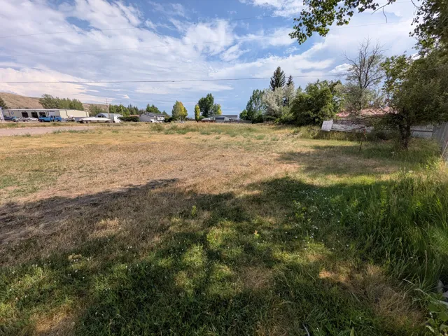 Expansive open lot featuring varied ground cover and mature perimeter trees