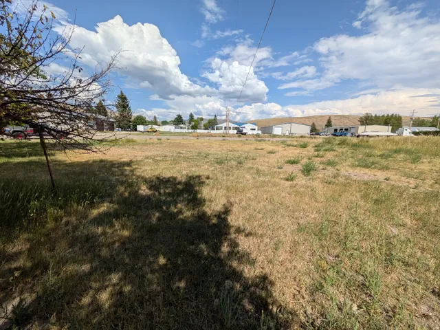 Expansive open lot featuring natural grasses and mature trees