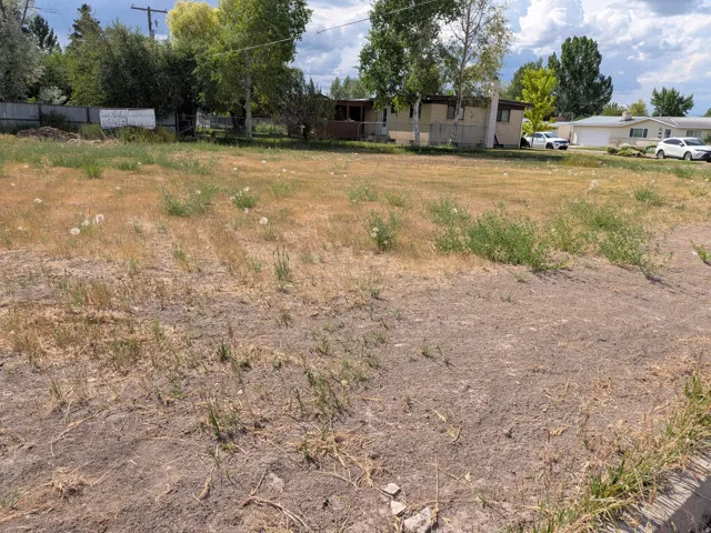 Expansive undeveloped lot featuring mixed vegetation and mature trees bordering the property