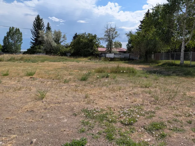 Expansive undeveloped lot featuring mixed vegetation and perimeter trees