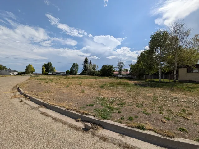 Expansive undeveloped lot featuring a paved road, concrete curb, and established trees along the perimeter