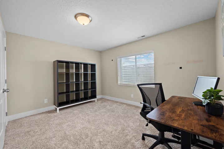 Carpeted room with neutral wall paint and a single window offering natural light