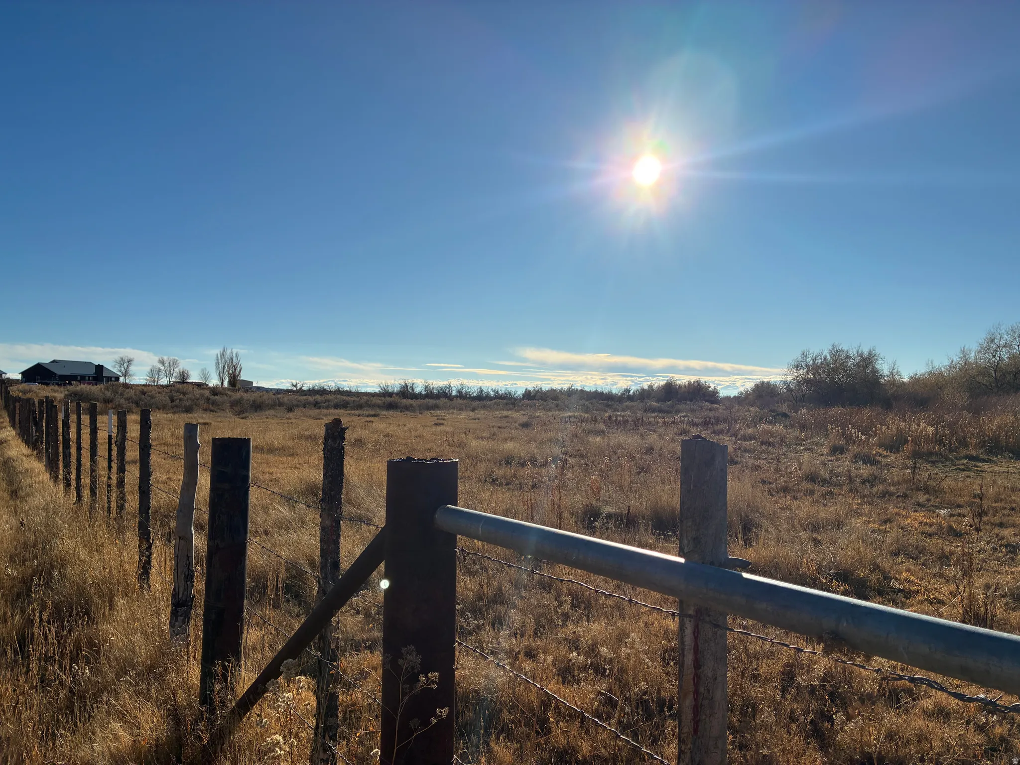 Extensive parcel featuring natural dry grasses and distant structures under a clear sky
