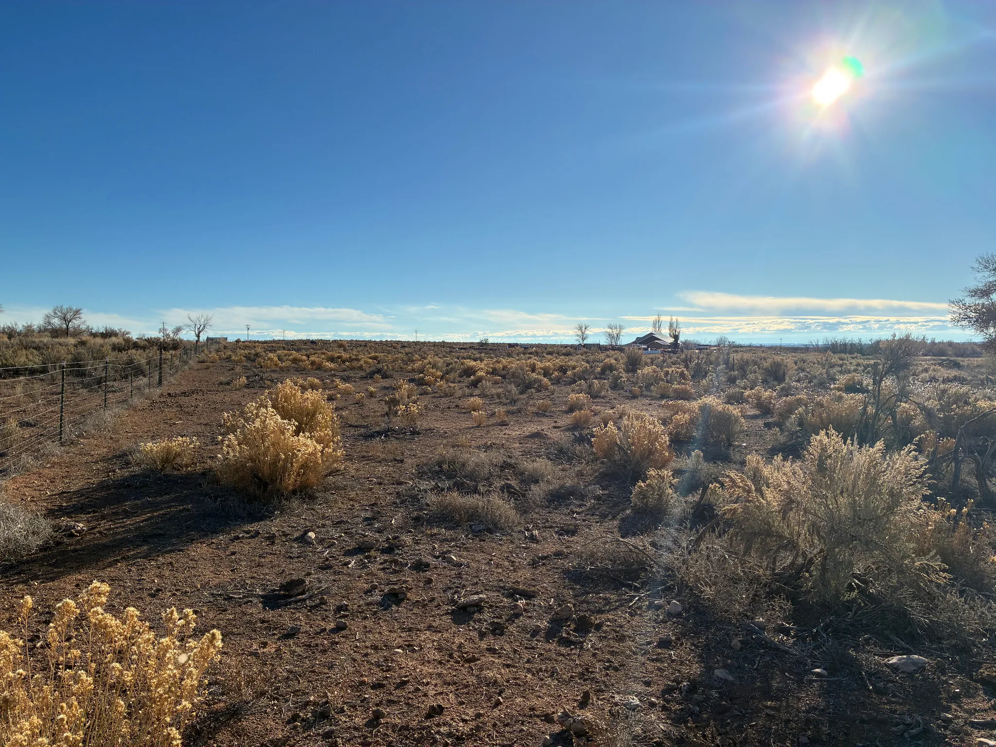 Expansive open land featuring natural desert vegetation and a clear sky