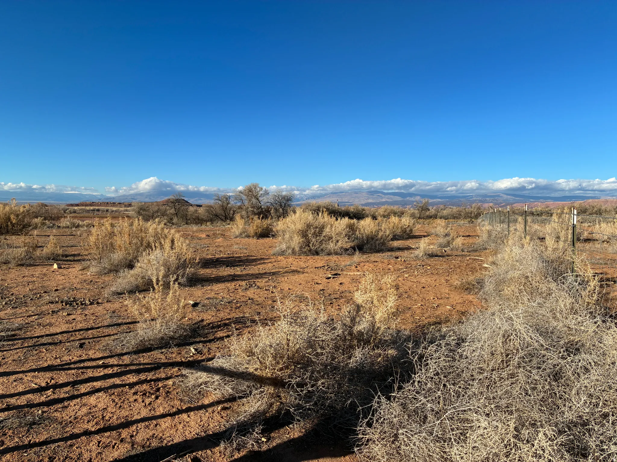 Expansive desert landscape featuring arid vegetation, red earth, and a clear blue sky