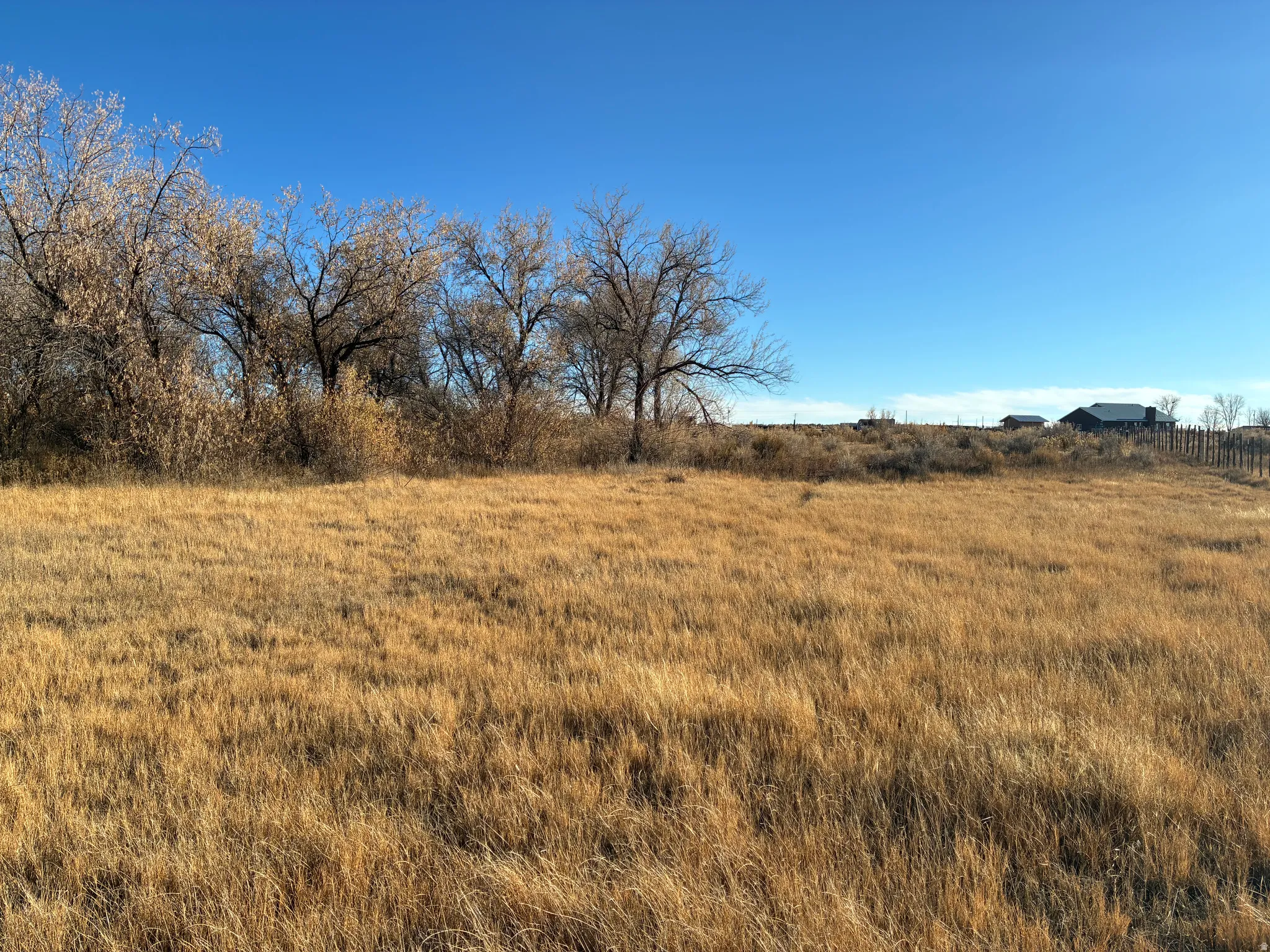 Expansive open land featuring golden grasses and a clear blue sky