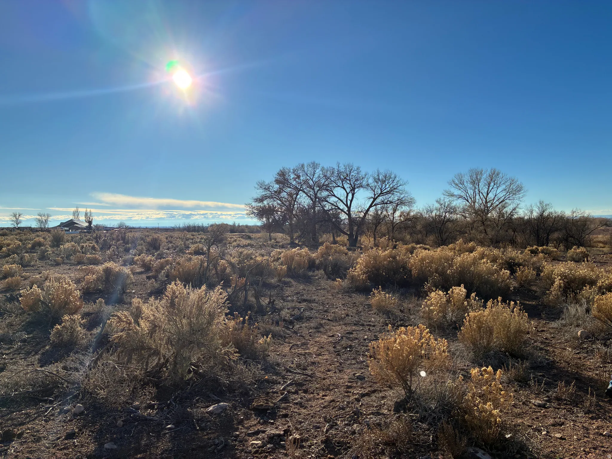 Expansive open land featuring natural vegetation and distant trees under a clear sky