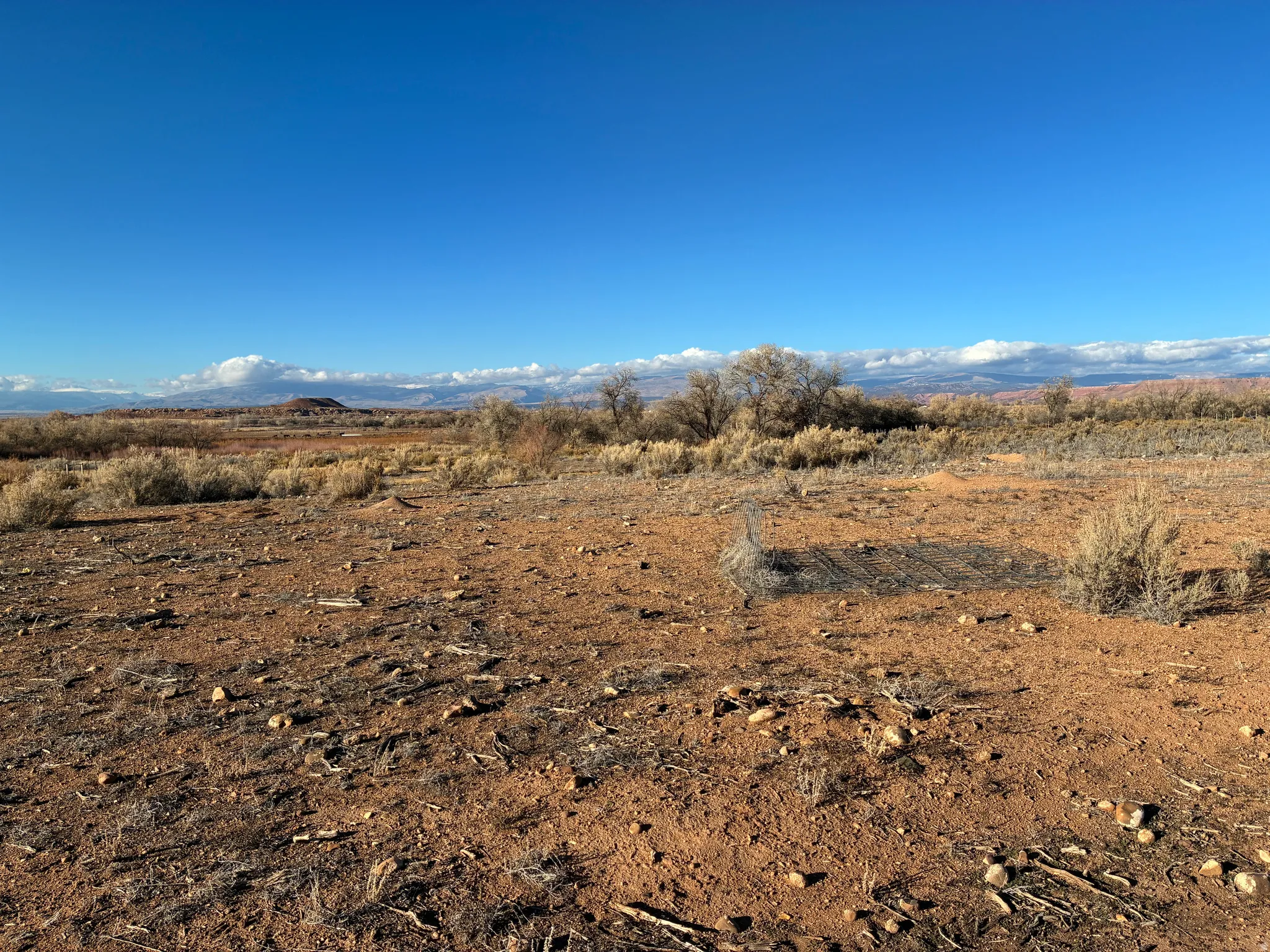 Expansive undeveloped land featuring a clear blue sky, natural desert vegetation, and distant mountain ranges