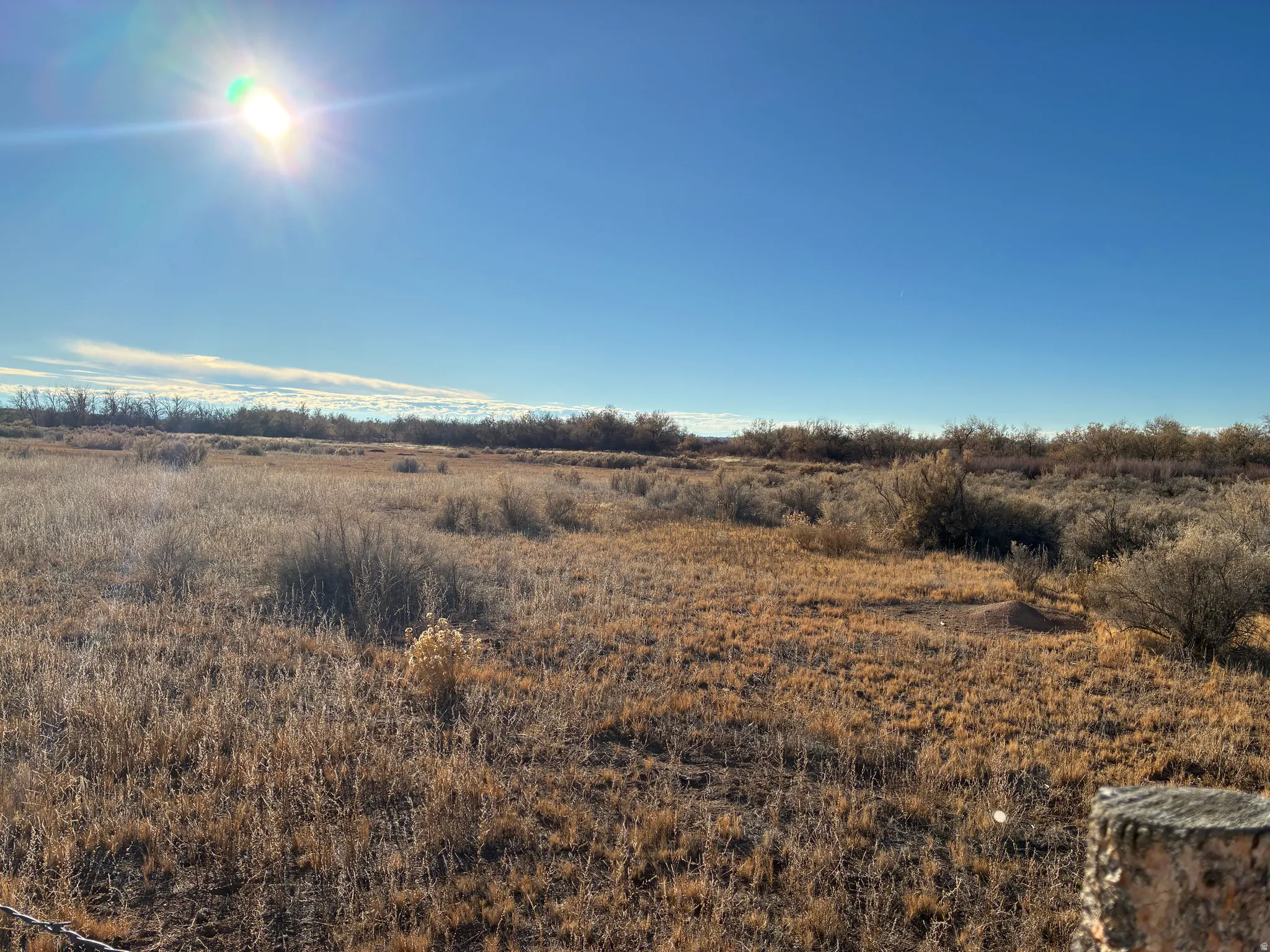 Expansive open land featuring diverse natural vegetation and a clear blue sky