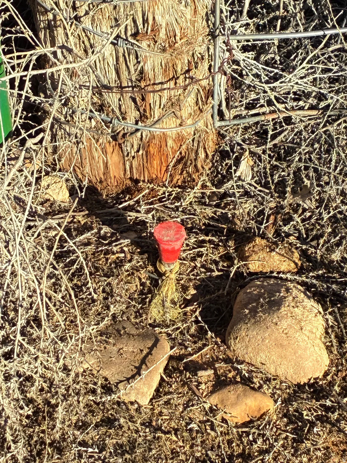 Surveyor pin