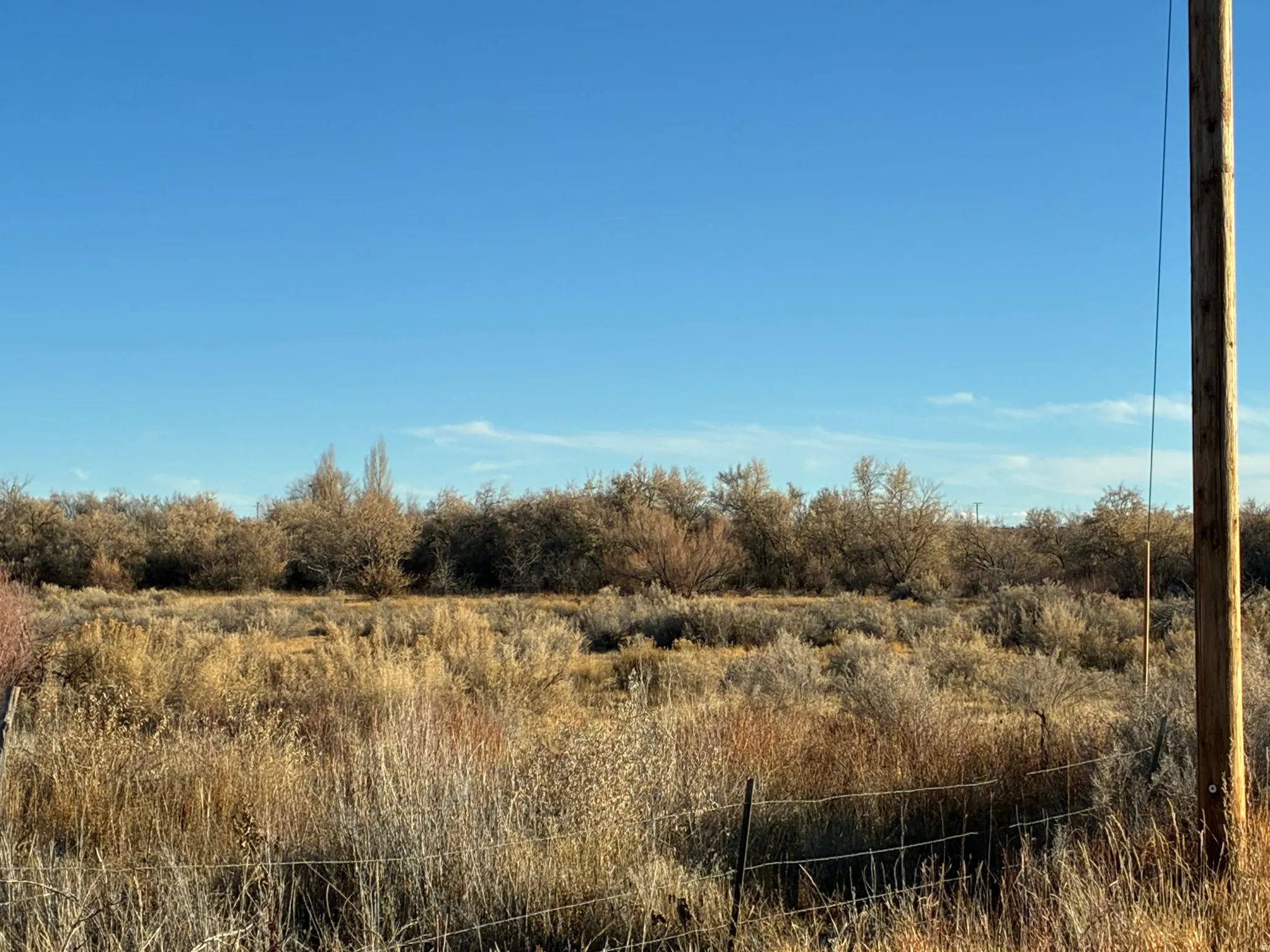 Expansive undeveloped land featuring diverse vegetation and open skies