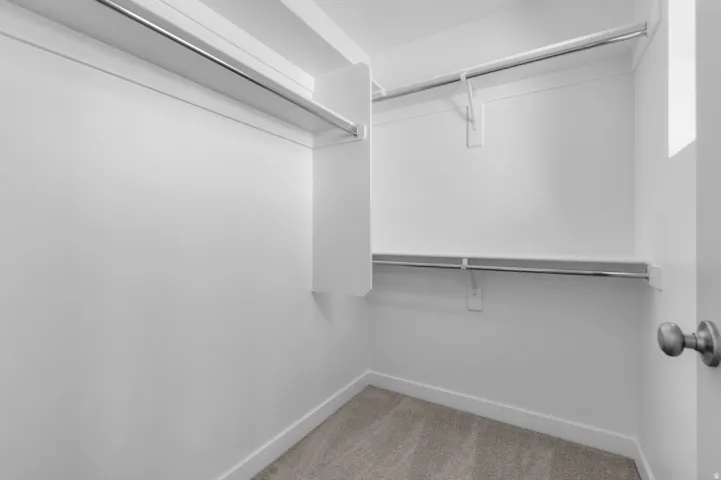 Walk-in closet with integrated shelving, multiple hanging rods, and neutral-toned carpeting