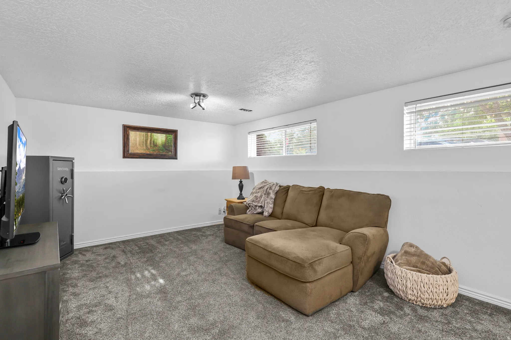Spacious room featuring plush gray carpeting, white walls, two horizontal windows with blinds, and a flush-mount ceiling light fixture
