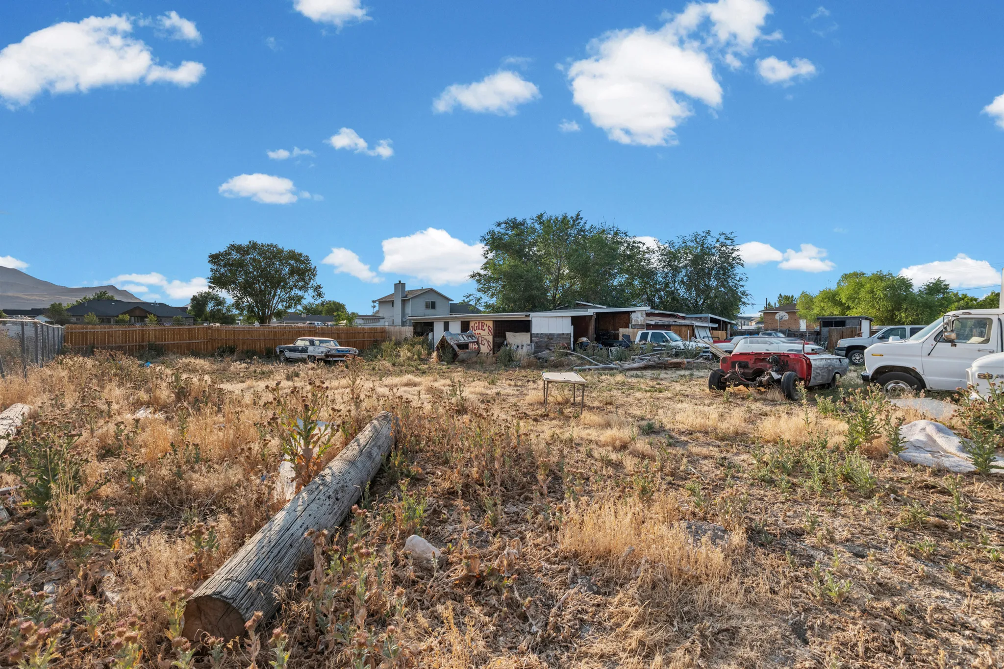 Expansive lot featuring a large open area, mature vegetation, and a clear blue sky