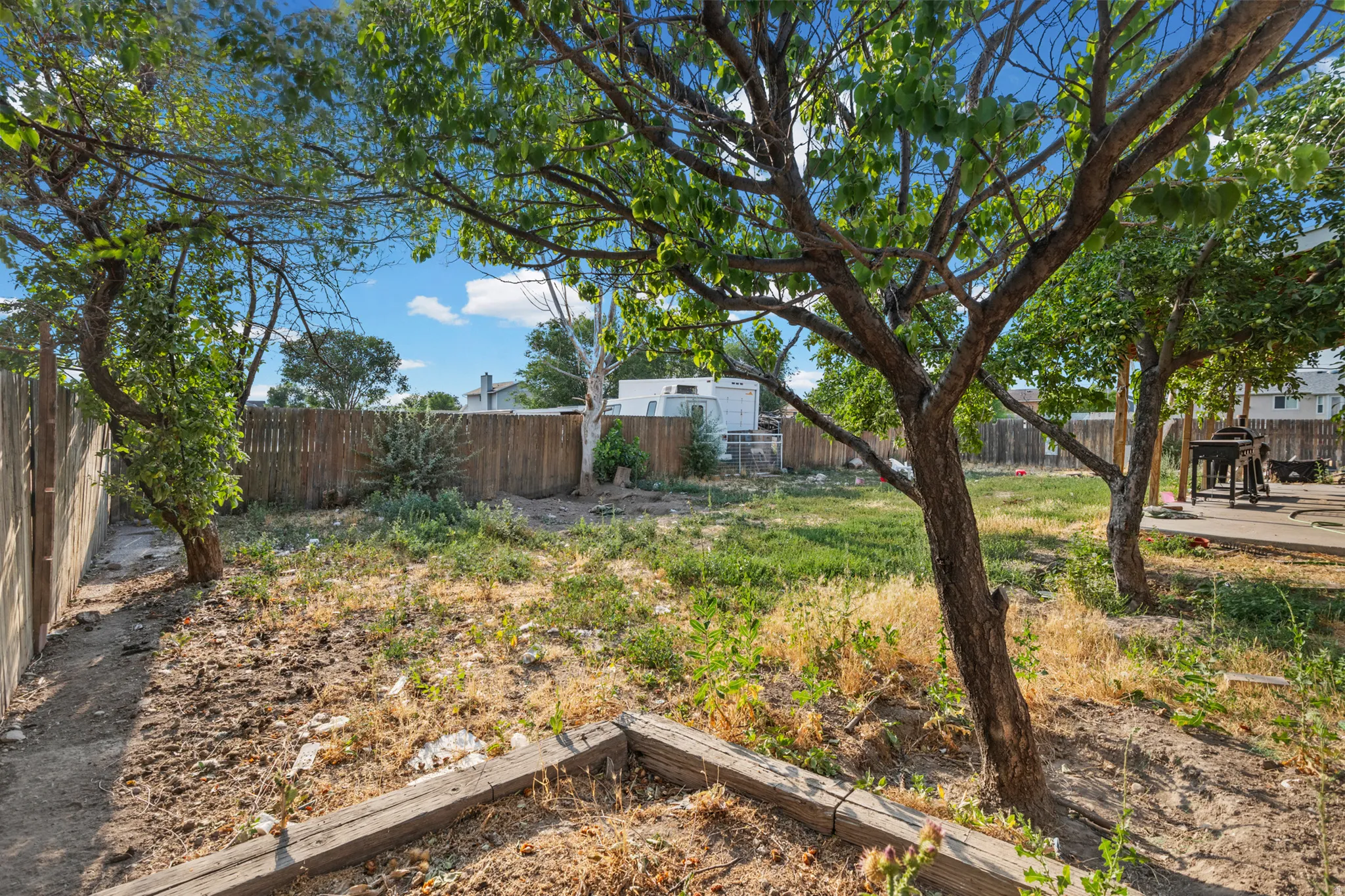 Fenced backyard featuring mature trees, a raised garden bed, and a concrete patio