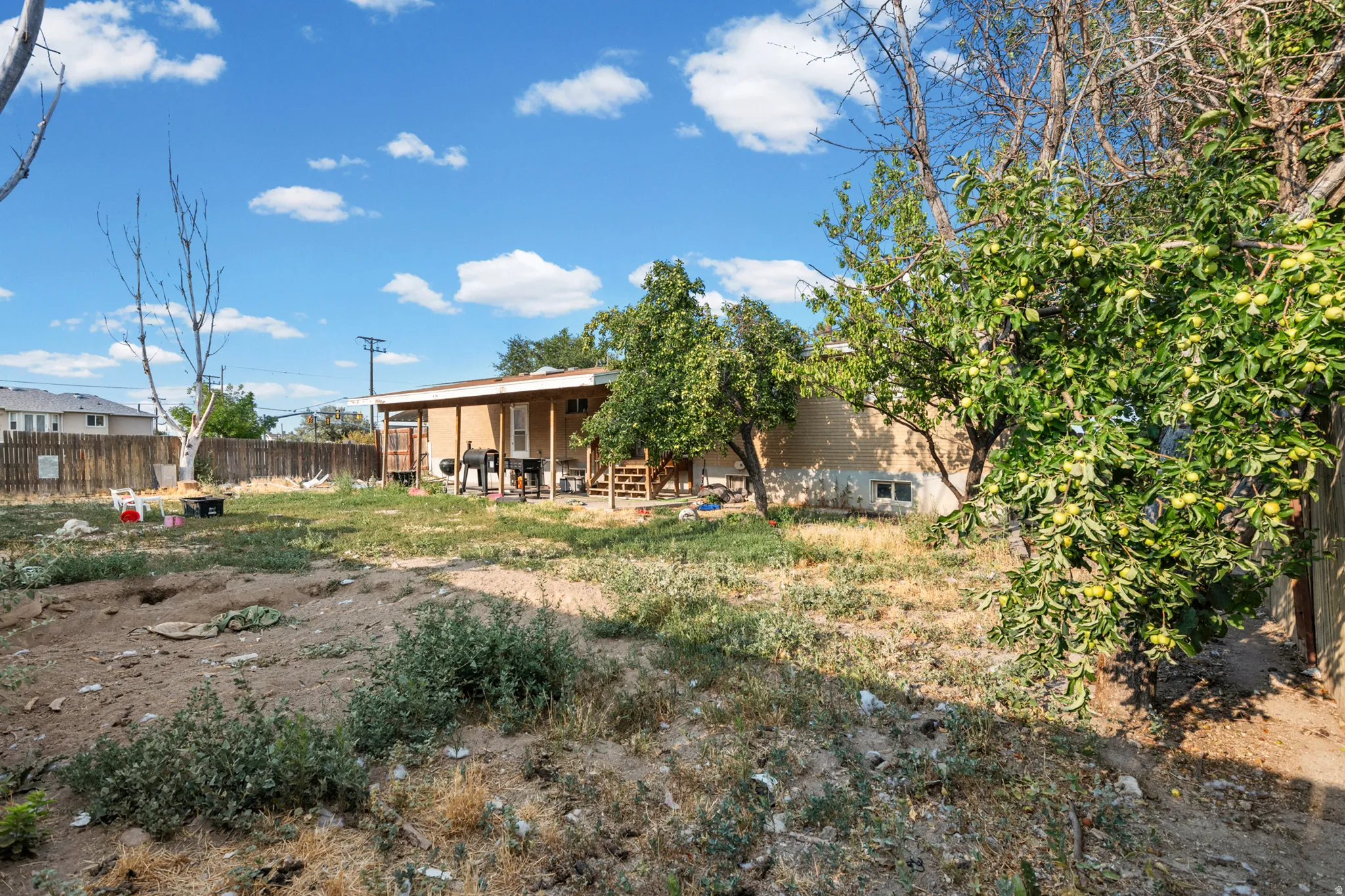 Expansive backyard featuring mature fruit trees, a privacy fence, and a rear deck