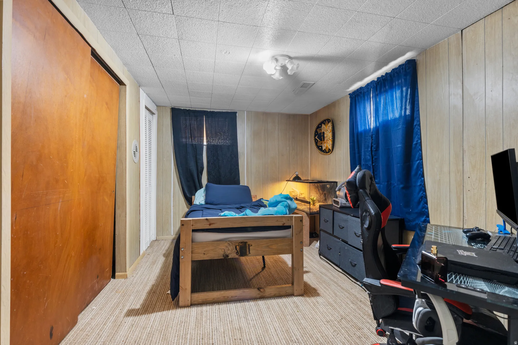 Room featuring light-toned paneling on walls and a textured carpeted floor