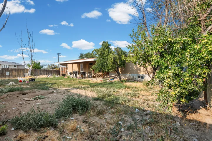 Expansive backyard featuring mature fruit trees, a privacy fence, and a rear deck