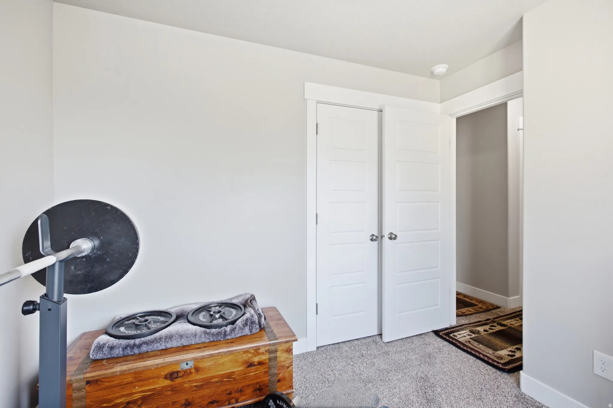Interior room featuring light gray walls and plush gray carpeting