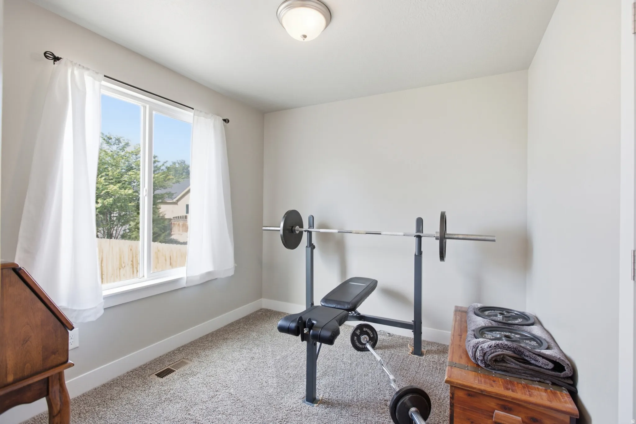 Bright room featuring a large window with white trim, light gray walls, white baseboards, and carpeted flooring