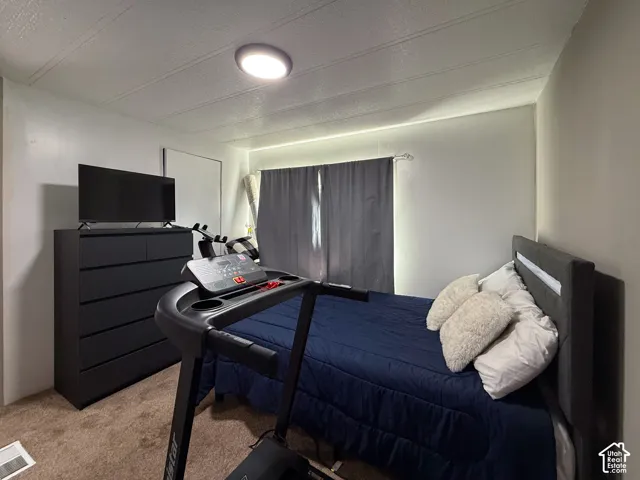 Comfortable room featuring brown carpet, light-toned walls, and a ceiling-mounted light fixture