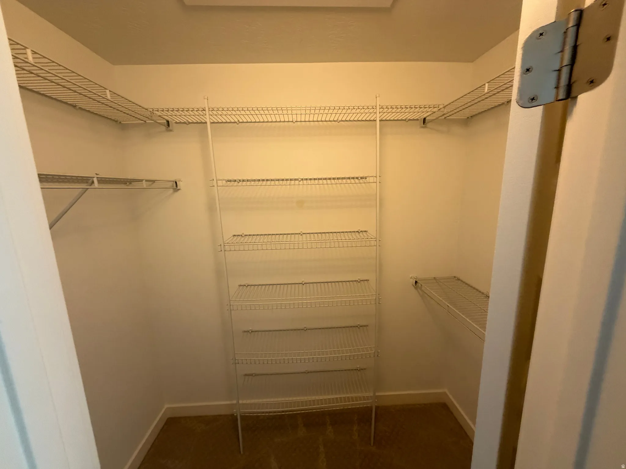 Walk-in closet featuring wire shelving, wire racks, and carpet flooring