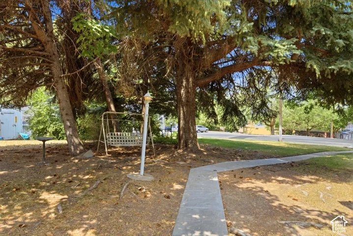 Mature evergreen trees provide ample shade over a concrete walkway