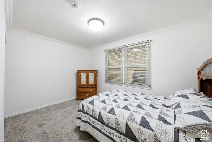 Bedroom featuring plush grey carpeting, crown molding, and a flush-mount ceiling light