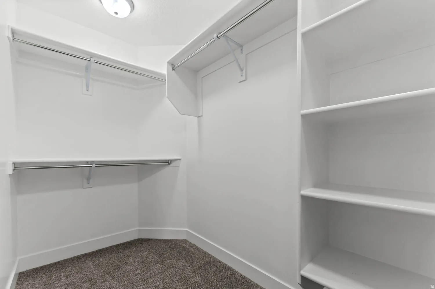 Walk-in closet featuring white walls, white shelving, metal hanging rods, and gray carpet flooring