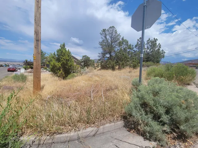 Elevated undeveloped lot featuring natural vegetation, mature trees, and a curb at the street