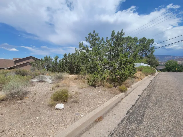Expansive undeveloped lot featuring natural vegetation, mature evergreen trees, and a paved road with a concrete curb