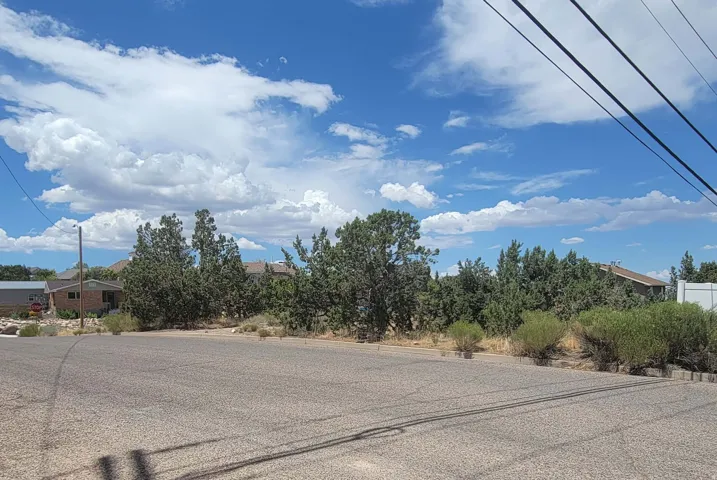 Paved road frontage with natural landscaping and mature trees