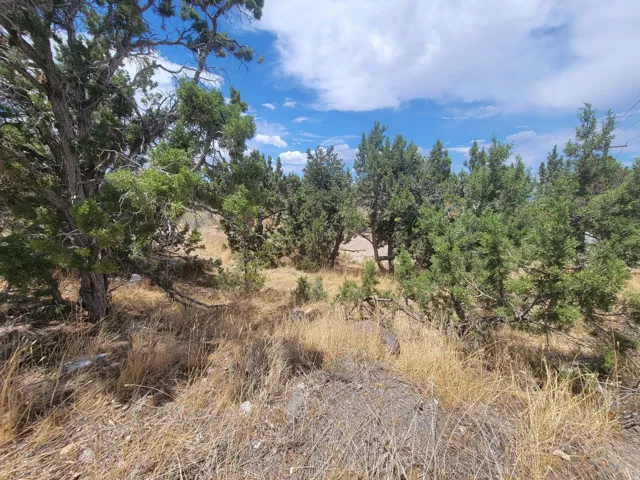 Property featuring natural trees and dry grasses under a partly cloudy sky