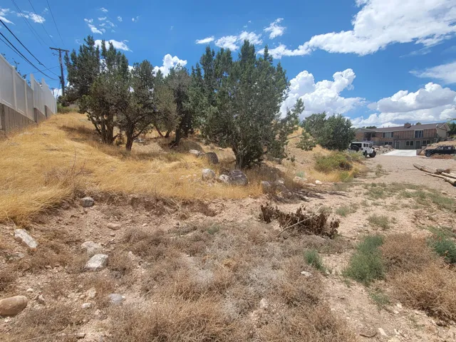 Expansive undeveloped lot featuring mature trees and natural vegetation