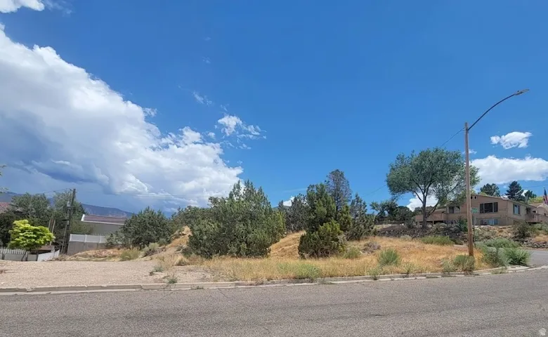 Expansive lot featuring a paved street frontage, concrete curb, and existing utility pole