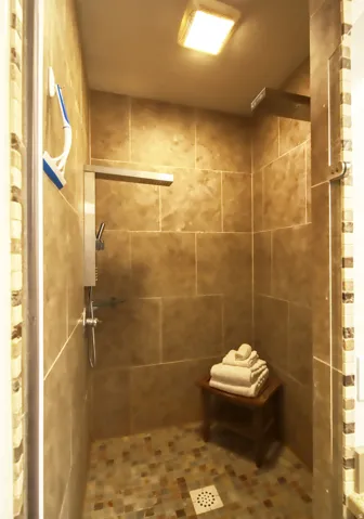 Walk-in shower with large format wall tiling and mosaic tile flooring