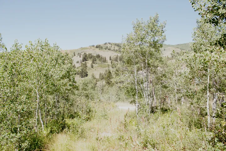 6082 N Middle Fork Dr, Huntsville, Utah 84317
