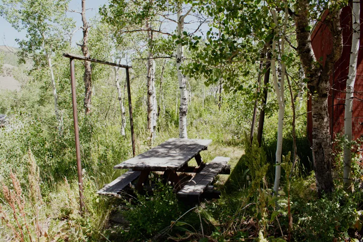Picnic area on lot