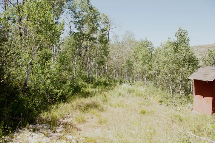 6082 N Middle Fork Dr, Huntsville, Utah 84317
