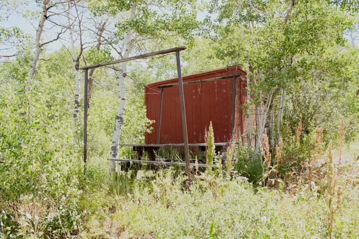 Picnic area and shed on lot