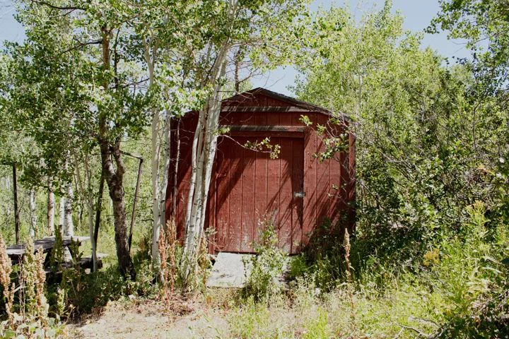Featuring shed on lot