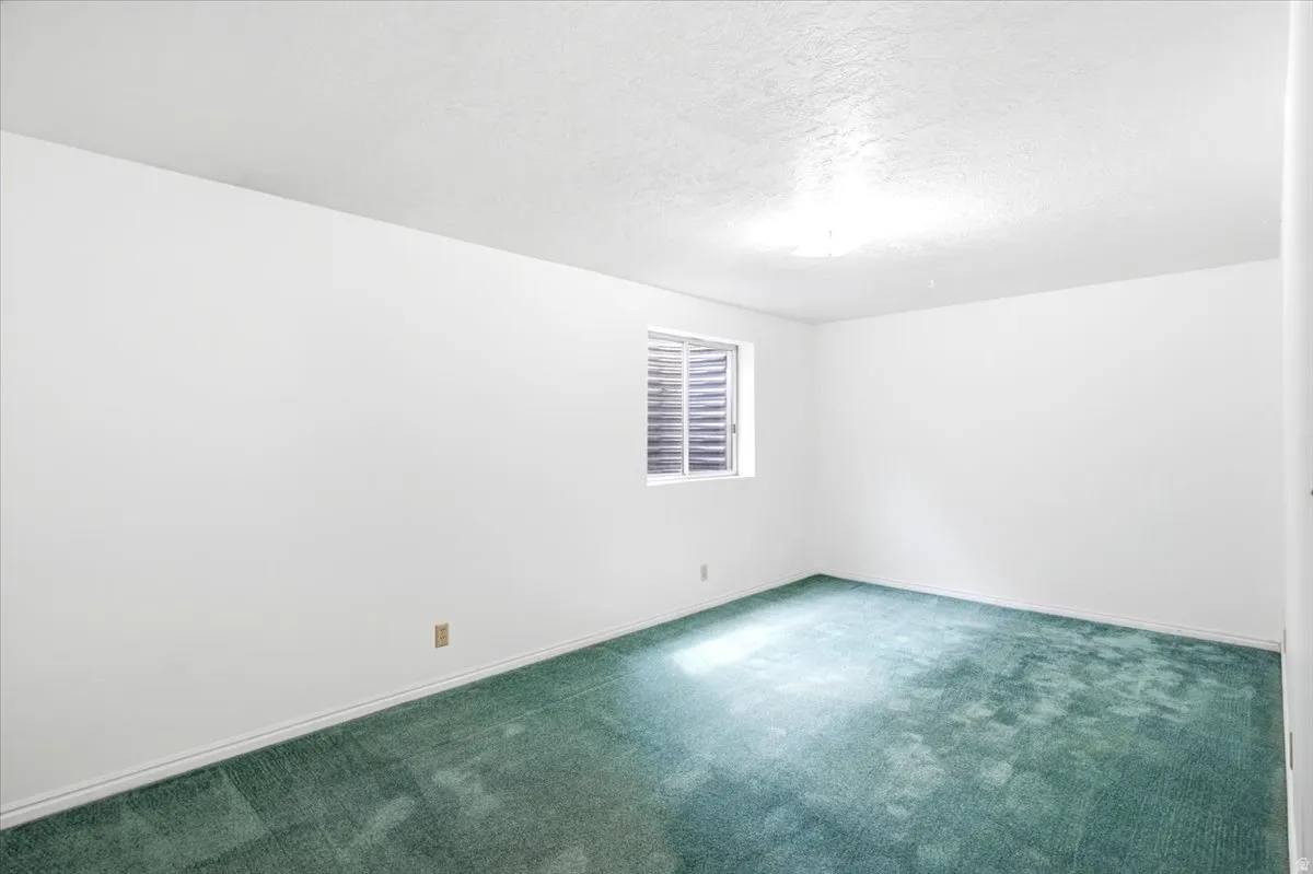 Spacious room featuring light-colored walls, green carpeting, a window with horizontal blinds, and a ceiling-mounted light fixture