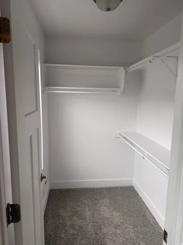 White-painted closet featuring built-in shelving, hanging rods, and grey carpeting