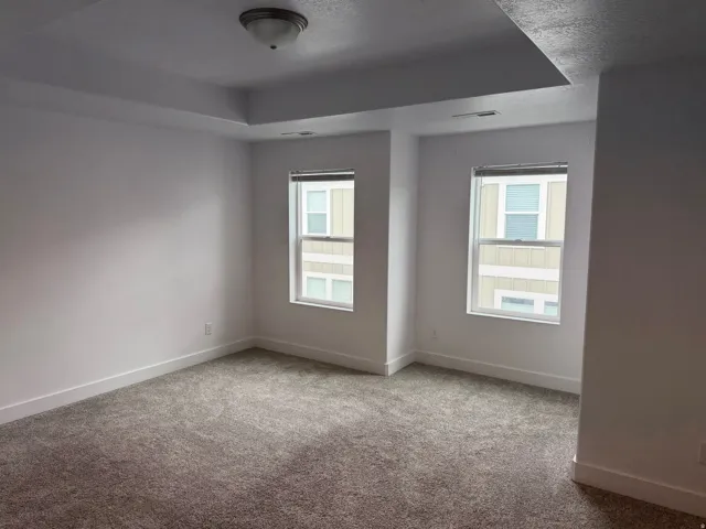 Room featuring two windows with white frames, tray ceiling, flush mount lighting, light-colored walls, and gray-toned carpet flooring