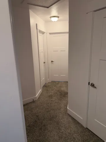 Hallway featuring multiple white paneled doors with satin nickel hardware, recessed lighting, and grey textured carpeting
