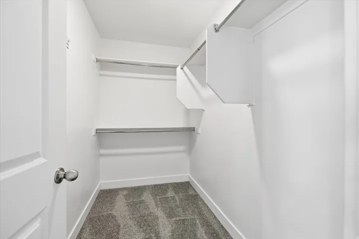 Walk-in closet featuring white walls, gray patterned carpet, and built-in shelving with hanging rods