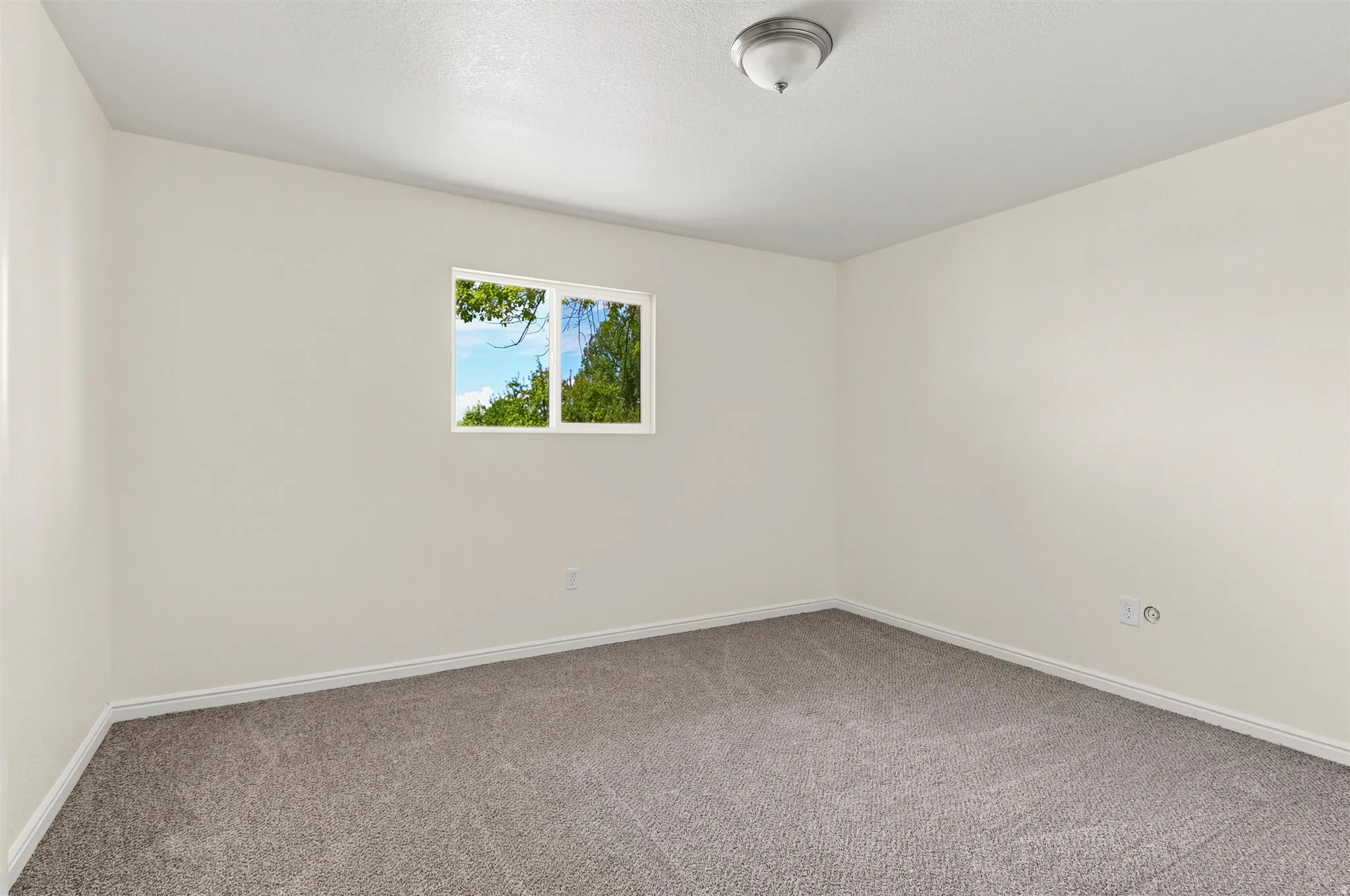 Neutral wall finishes paired with plush gray carpeting