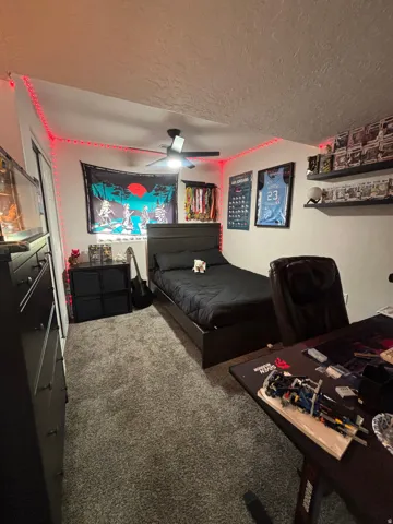 Plush gray carpeting throughout